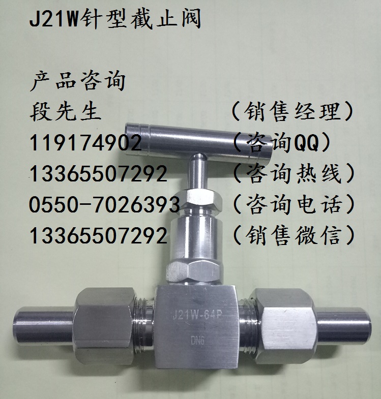 J21W針型截止閥