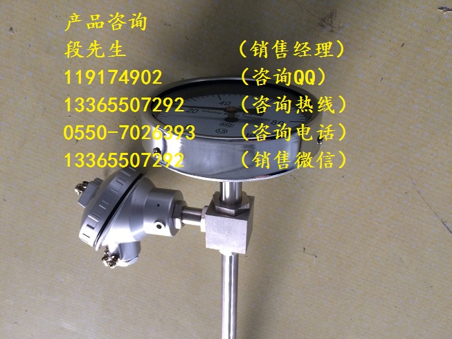 WSSE-401E分度帶熱電偶雙金屬溫度計(jì)