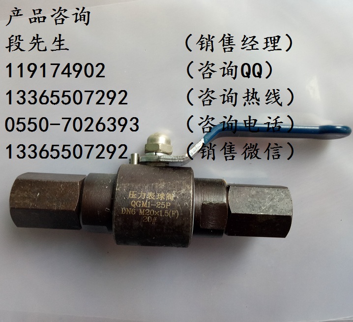 QGM1壓力表球閥
