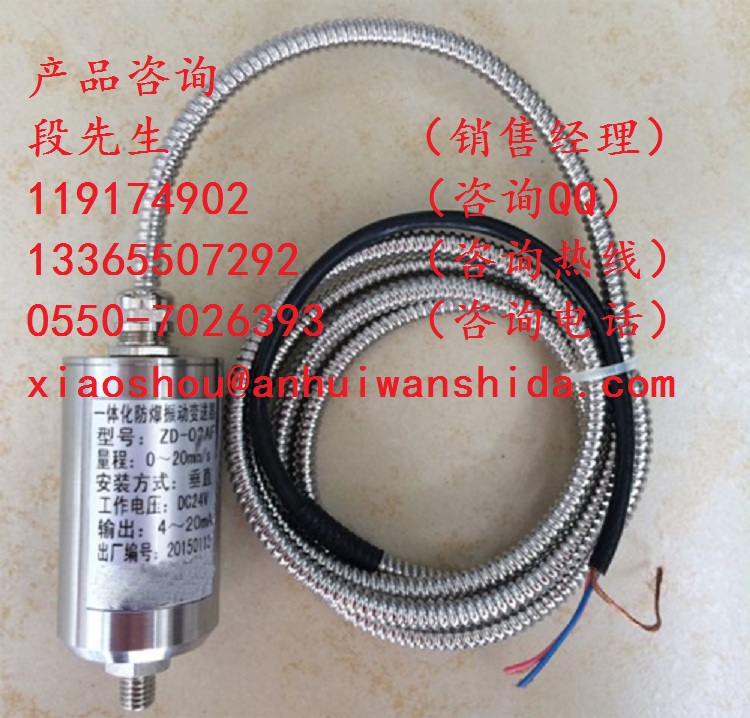 兩路一體化振動溫度變送器