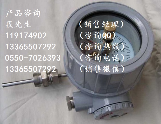 WSSX-410B隔爆雙金屬溫度計(jì)