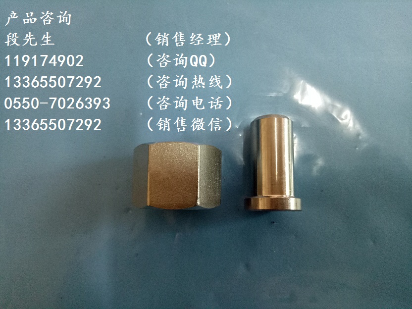 壓力表接頭
