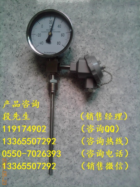 WSSE-501（0-150℃）帶熱電偶雙金屬溫度計(jì)