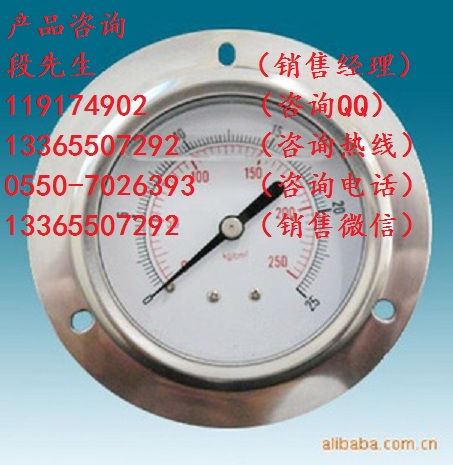 YN-60ZT軸向帶邊耐震壓力表