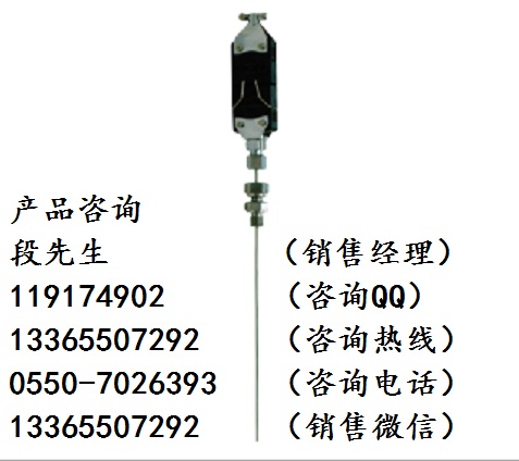 WZPK-274扁接插式鎧裝熱電阻