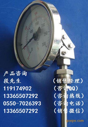 WSS-480萬(wàn)向型雙金屬溫度計(jì)