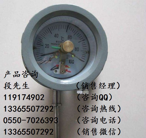 WSSX-480B隔爆雙金屬溫度計