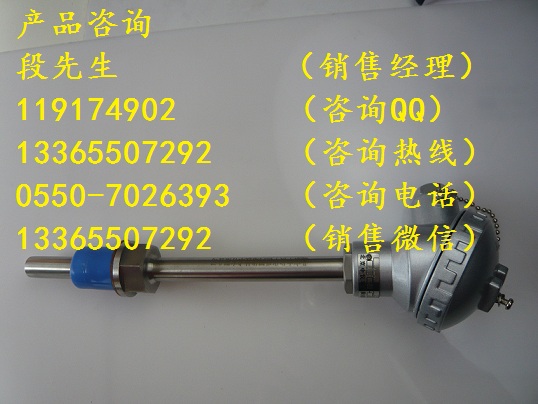 WZP2-72A裝配熱電阻
