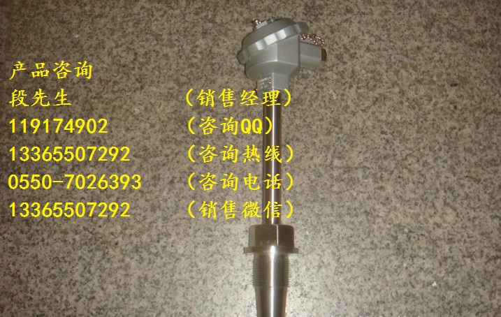 WRN2G-440高溫高壓熱電阻