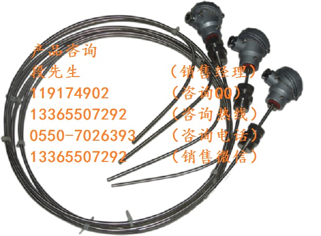 WRE-430D多點熱電偶