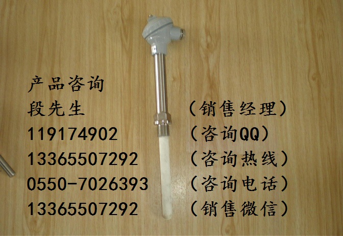 WRQ-130高貴金屬熱電偶