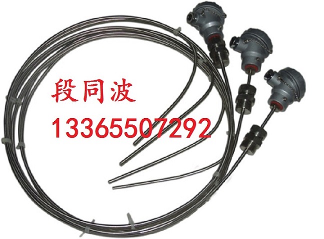 WRN-230D多點(diǎn)熱電偶價(jià)格