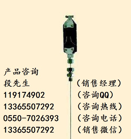 WZPK-375扁接插式鎧裝熱電阻