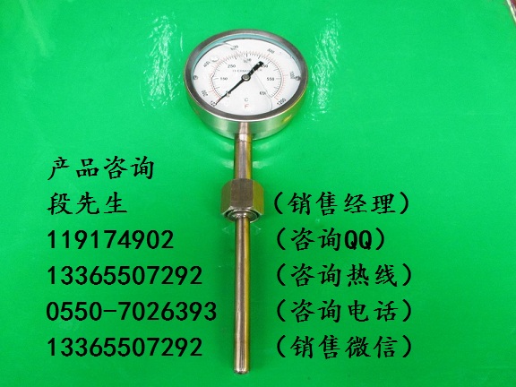 WSS-412徑向型雙金屬溫度計