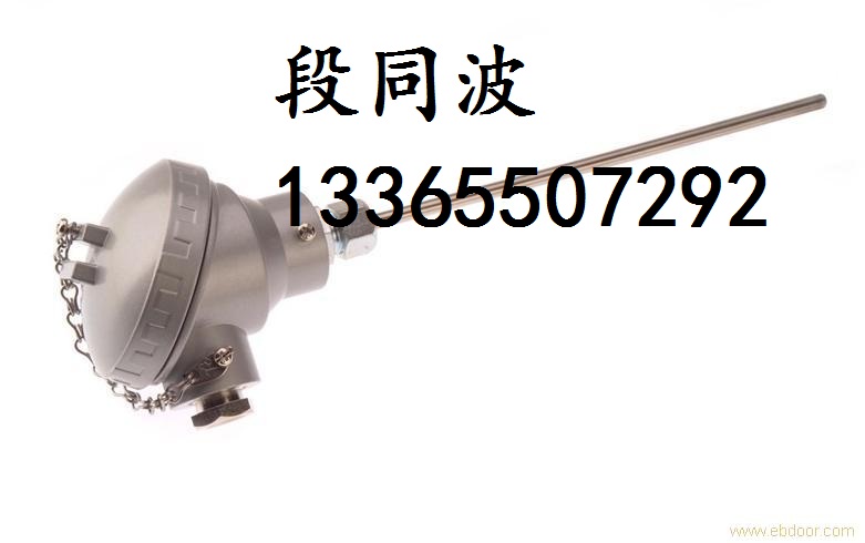 WZPK-134防水式鎧裝熱電阻