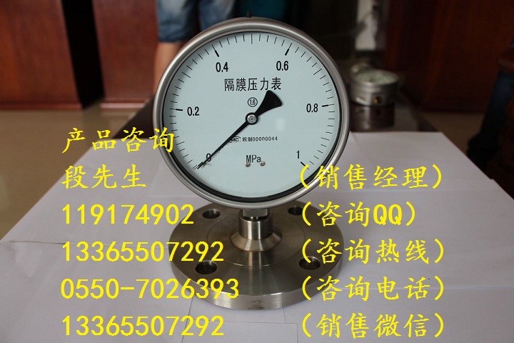 Y-M(0-1MPa）系列隔膜壓力表