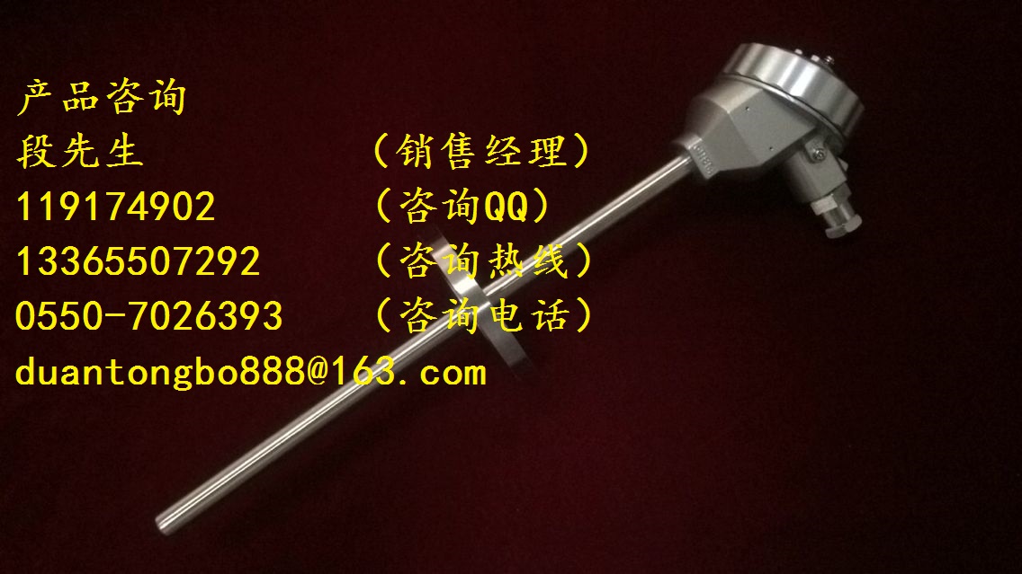 WZPK-535防水式鎧裝熱電阻