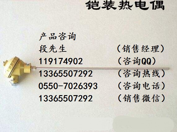 WRMK-131熱電偶分度號(hào)