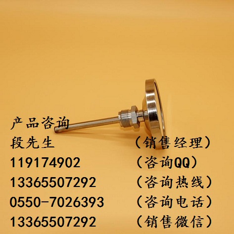 寶雞岐山軸向型雙金屬溫度計