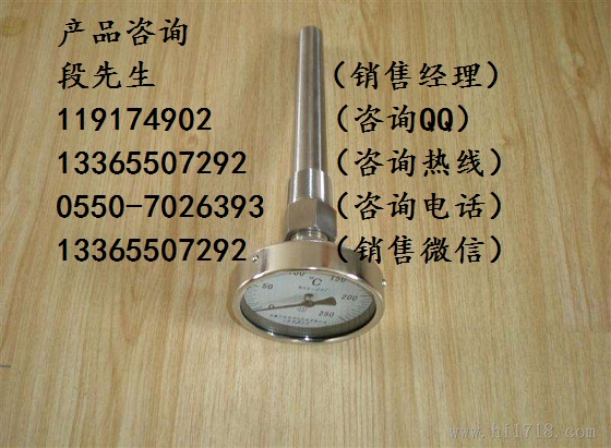 延安洛川軸向型雙金屬溫度計