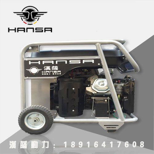 250A汽油氬弧電焊一體機(jī)