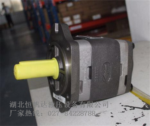 華德軸向柱塞泵【A2F23R6.1A1】武漢廠家