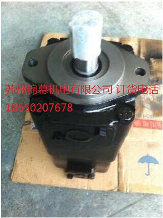 PV20-2L1D-K02 錦幕總經(jīng)銷，DENISON丹尼遜柱塞泵