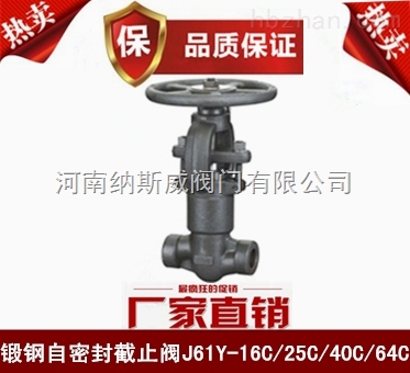 鄭州納斯威J61Y鍛鋼自密封截止閥產(chǎn)品直銷(xiāo)