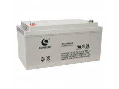 CONSENT光盛12V24AH鉛酸蓄電池