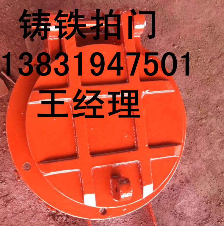DN250 城市排澇雨水防洪拍門