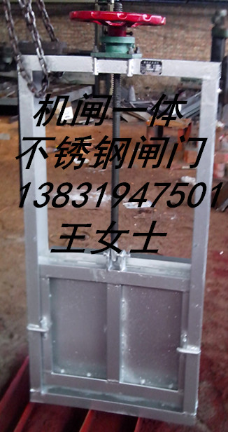 1米*1米機(jī)閘一體不銹鋼閘門