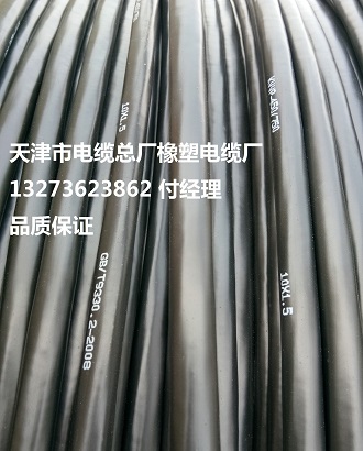 隧道電纜性能  型號 簡介 WDZN-YJV22  銷售總部