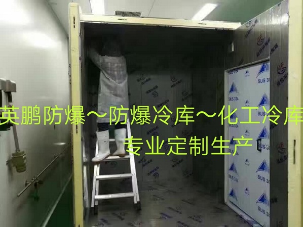 防爆冷庫BLK系列，防爆冰箱