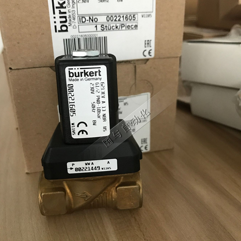 Burkert電磁閥6213EV A NBR MS 230V