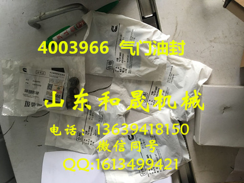 康明斯QSM11發(fā)動(dòng)機(jī)專用氣門油封 4003966 代理直銷