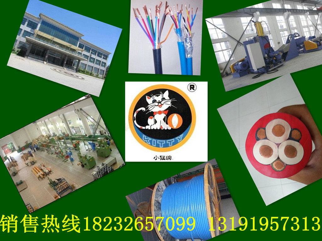 DA-KVVP2-22阻燃控制電纜生產(chǎn)商-天津電纜總廠