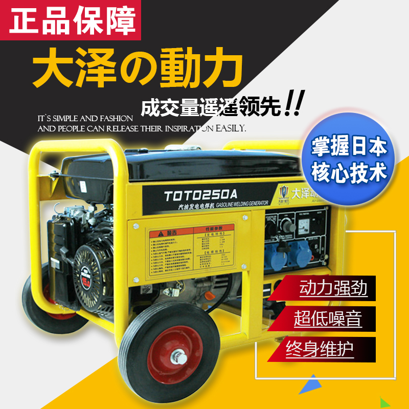 進(jìn)口250A汽油發(fā)電電焊機(jī)價(jià)格
