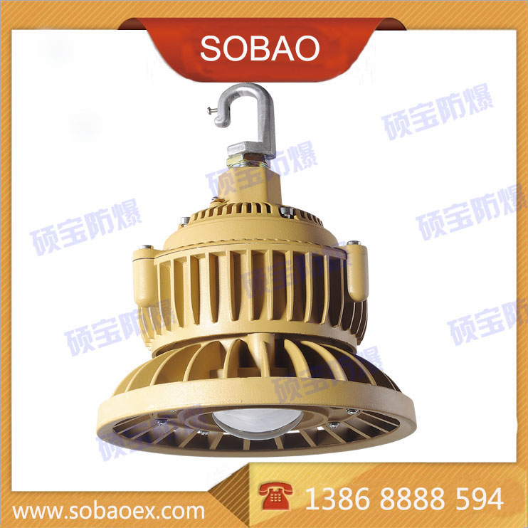 50wled防爆投光燈 集成LED防爆燈50w 支架式50wLED