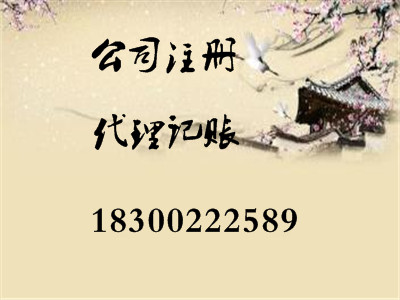 各地專業(yè)代理公司注冊和代理記賬報(bào)稅