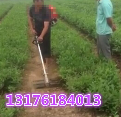 汽油除草機(jī) 割草機(jī)  多功能微耕機(jī)