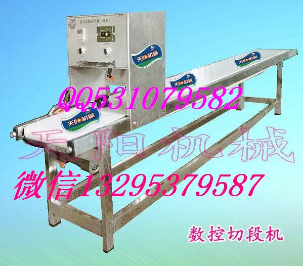 延時(shí)切段機(jī)年糕米豆腐粉條數(shù)控切段機(jī)