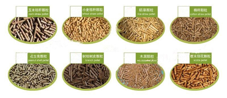 淮北獺兔飼料顆粒機(jī)