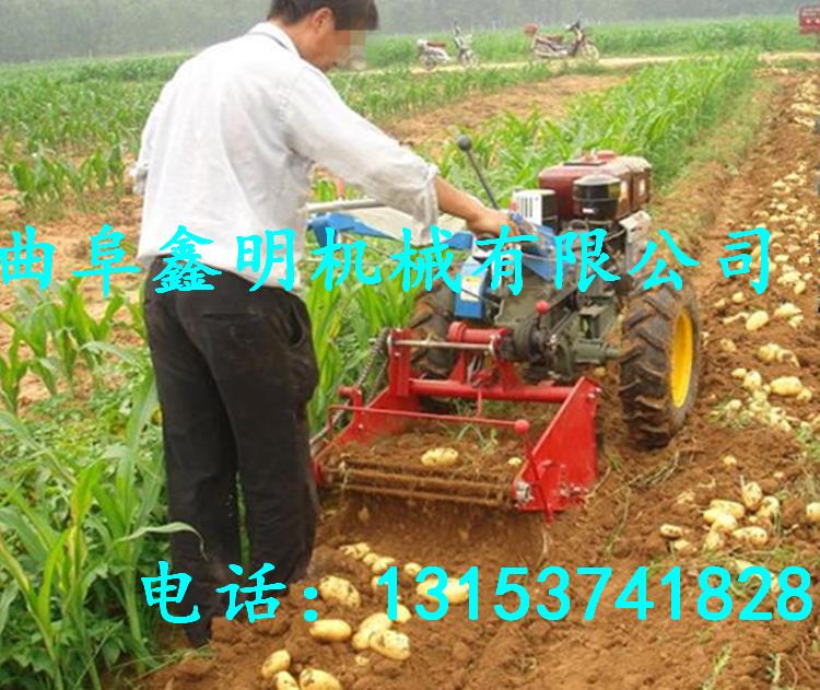哪有賣紅薯挖掘機的 新型薯類收獲機 山芋挖掘機 鑫明制造