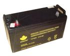 山頓蓄電池NP55-12 12V55AH閥控式鉛酸蓄電池