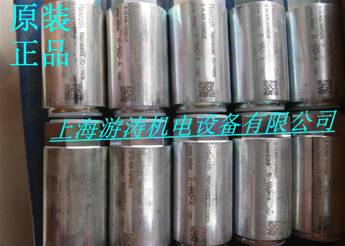 力士樂單向閥 S10A1.0