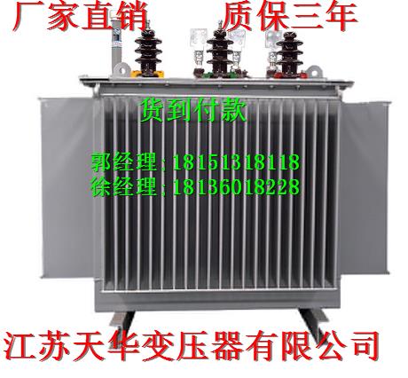 湯陰縣SCB（11）-250KVA環(huán)氧樹脂干式配電變壓器