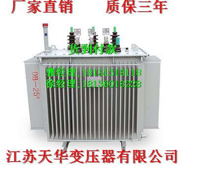 東興SCB（11）-1250KVA環(huán)氧樹脂干式配電變壓器