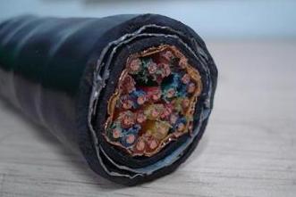 供應(yīng)300/500V-7*2*0.75鎧裝計(jì)算機(jī)電纜DJYVP2