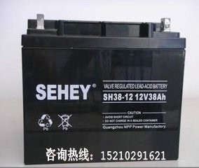 西力蓄電池聯(lián)通基站UPS電源蓄電池SH38-12圖片