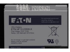 伊頓免維護(hù)蓄電池,電廠防靜電ETNHF12-420WP蓄電池報(bào)價(jià)